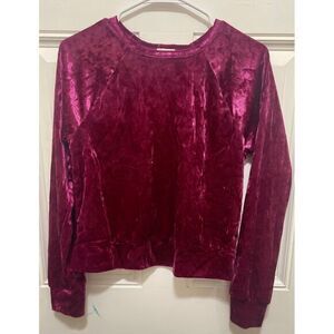 Wild Pearl Burgundy Velvet Cropped Long‎ Sleeve Top Casual Party Evening Wear